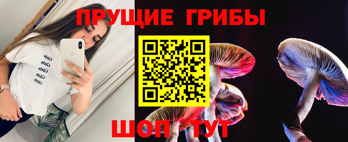 Псилоцибиновые грибы Psilocybe  как найти закладки  Чапаевск  Вход с VPN 